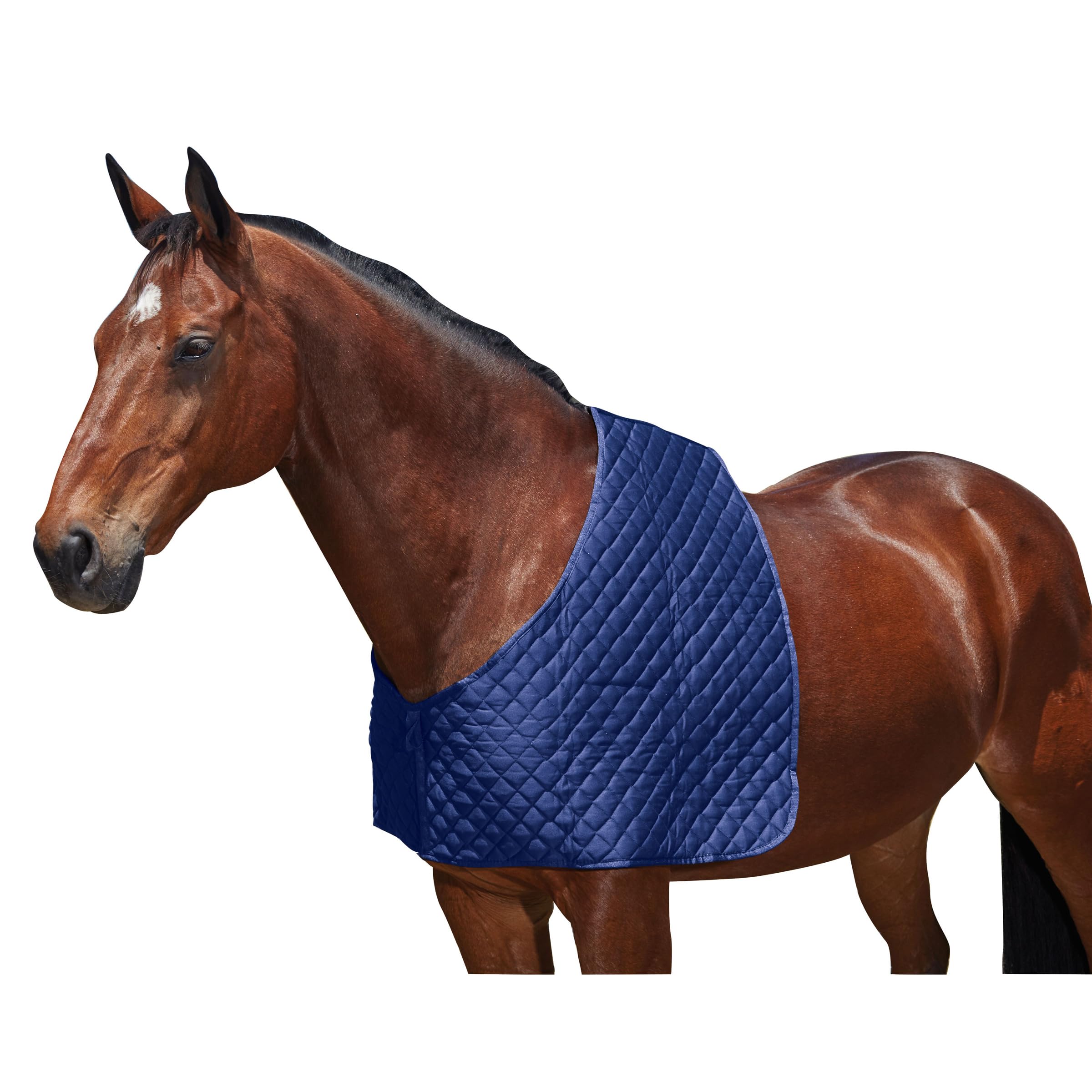 WeatherBeeta Deluxe Shoulder Guard, Navy, Cob