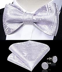 DiBanGu Light Purple Silk Bow Tie Set for Men