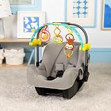 Bright Starts OBall Flex 'n Go Activity Arch Take-Along Stroller Toy Newborn+ view 7