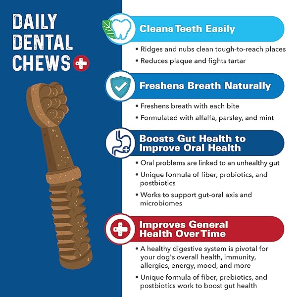 BERNIE’S CHARMING CHOMPERS – DAILY DENTAL CHEWS FOR DOGS 26-50 LBS. – 36 COUNT – CLEANS TEETH, FRESHENS BREATH, + BOOSTS ORAL-GUT MICROBIOME. EASY TO DIGEST, SUPPORTS HEALTHY DIGESTION NATURALLY