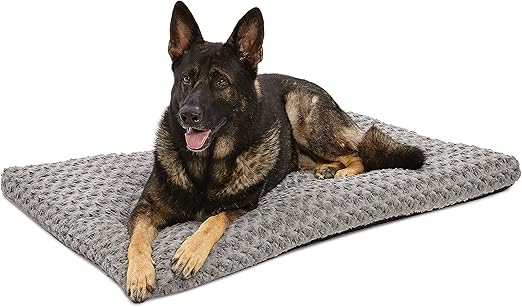 super plush dog bed