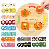 Woodtoe Life Cycle Toys, 12 Themes Montessori Science Toys for Kid Ages 3-6 | Preschool Learning Material,Wooden Educational Toys, STEM Activity, Interactive Cognition Play, Birthday Gift for Boys Girls