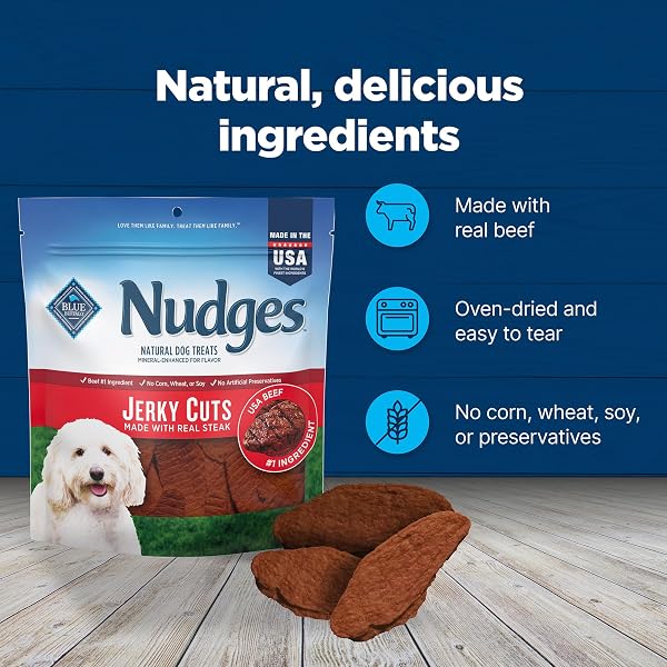BLUE BUFFALO NUDGES JERKY CUTS DOG TREATS, MADE IN THE USA WITH NATURAL INGREDIENTS, STEAK, 10-OZ BAG