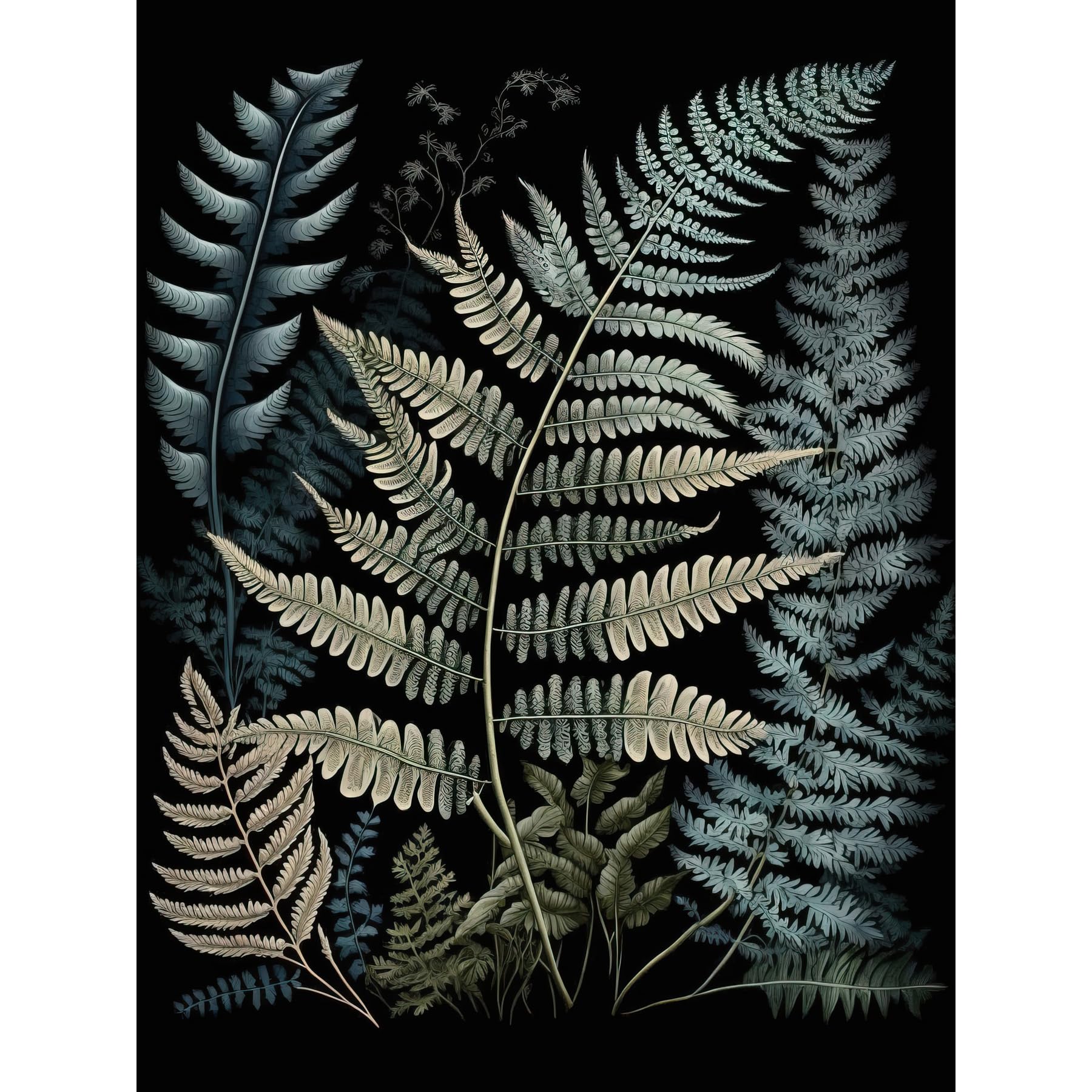 Artery8 Fern Frond Species Detailed Botanical Illustration Extra Large XL Wall Art Poster Print