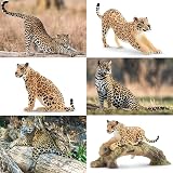 toymany 7PCS Leopard Family Figurines Cubs Tree Trunk Realistic Jungle Animals view 5
