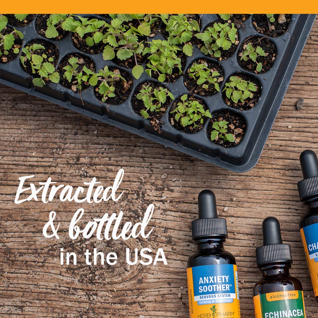 Herb Pharm Kids AlcoholFree Tummy TLC Liquid Herbal