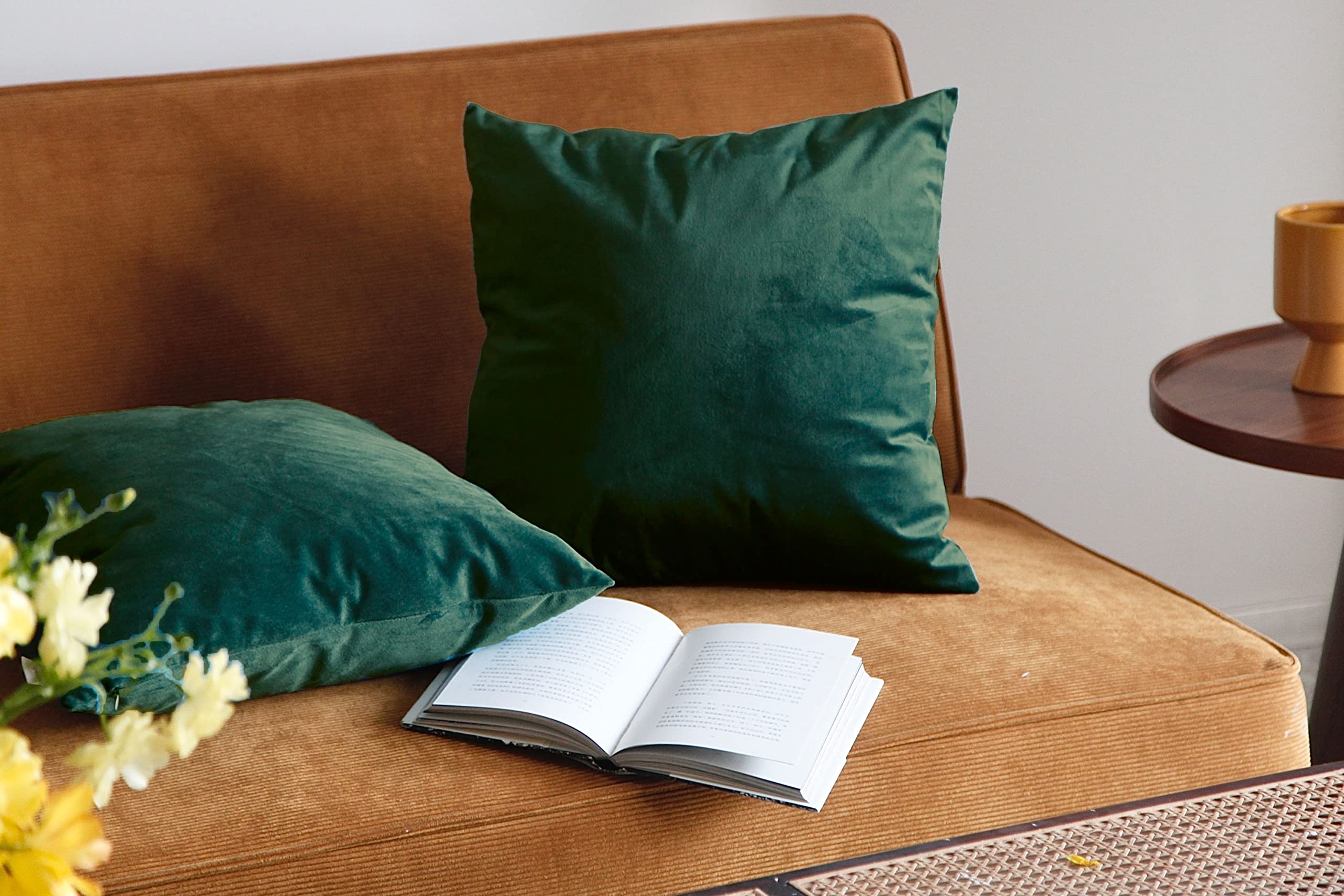 Pagnanno. Set of 2 Soft Velvet Cushion Covers 45x45cm(18x18 Inches) Plain Throw Pillowcases Square Cushion Covers for Chairs,living room,bedroom with Invisible Zipper ((Pack of 2), Emerald Green)