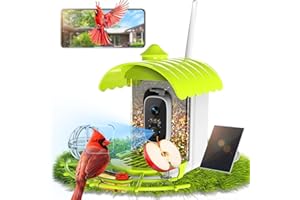 GREAT DACHONG Smart Bird Feeder with Camera, AI Identify Birds Species Solar Powered, 2K HD Video Bird House with Camera, Instant Arrival Alerts, Waterproof Squirrel Proof, Gift for BirdLovers, 2.4GHz WiFi, Green