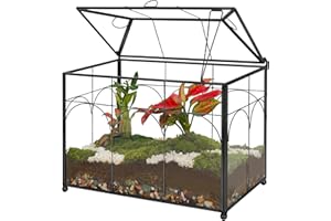 REDHUGO Handmade Glass Planter Terrarium with Lid, Indoor Tabletop Centerpiece Display Box Modern Decor DIY Gift Plant Terrarium Container for Succulent Cacti Air Plants Flower (Black)