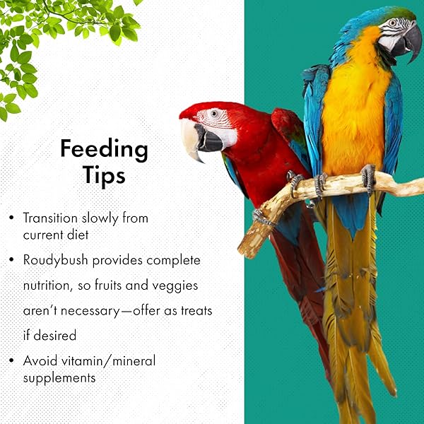 ROUDYBUSH DAILY MAINTENANCE FOOD FOR BIRDS – SCIENTIFICALLY FORMULATED BIRD FEED – BIRD FOOD PELLETS W/CORN, WHEAT, SOY & MORE – NUTRITIOUS & HEALTHY FEED FOR BIRDS (NIBLES, 44OZ)