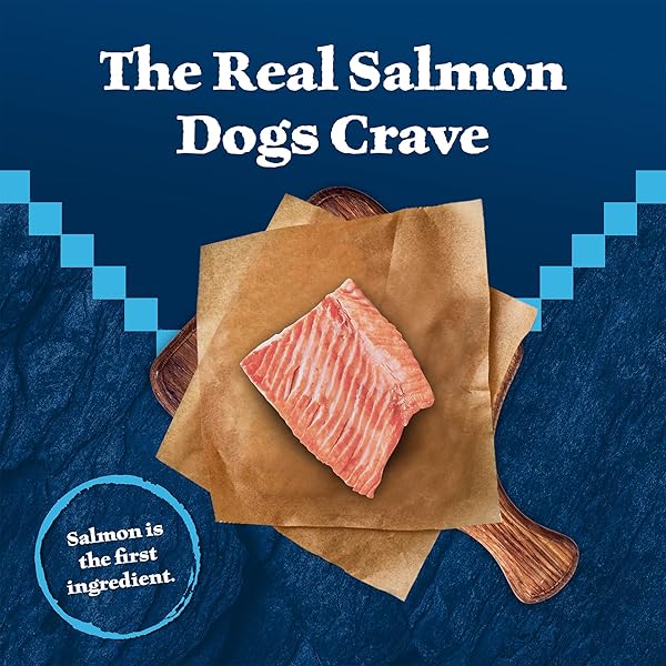 BLUE BUFFALO WILDERNESS TRAIL TREATS WILD BITS TRAINING TREATS FOR DOGS, GRAIN-FREE DOG TREATS, SALMON RECIPE, 10-OZ. BAG