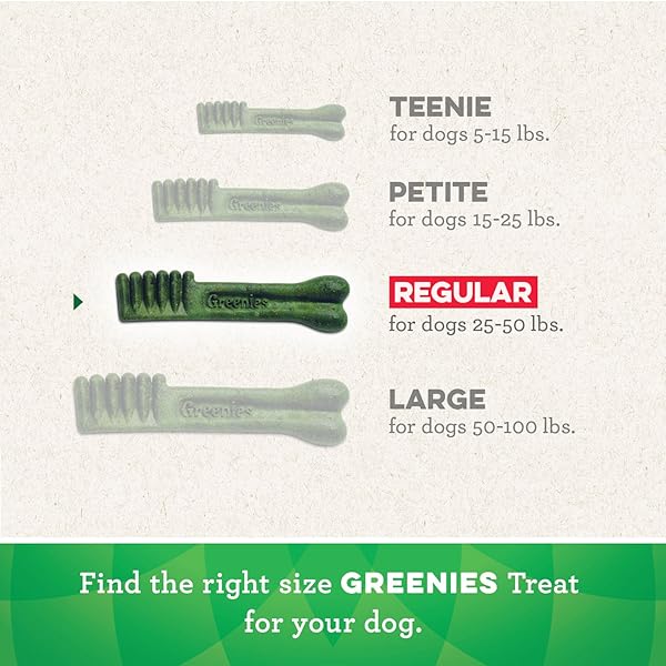 GREENIES ORIGINAL REGULAR NATURAL DENTAL CARE DOG TREATS, 54 OZ. PACK (54 TREATS)
