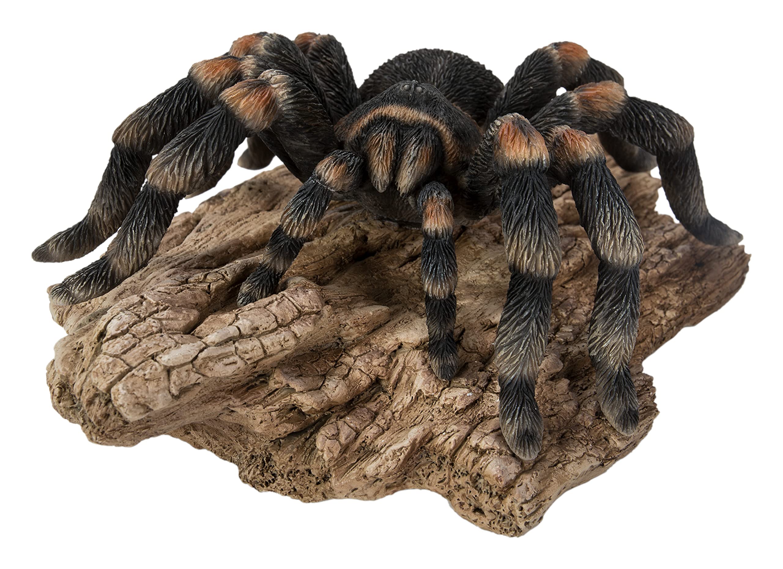 Vivid Arts Tarantula on Log, Resin Home or Garden Decoration, XRL-TARA-D, Length 24cm
