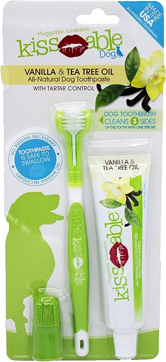 cocker spaniels up for adoption