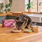 Lily’s Kitchen Smooth Lamb Paté Complete Nutrition Adult Cat Food 19 x 85g view 5