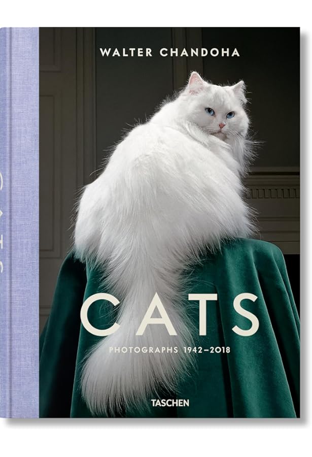 The French Cat: Photographs: Hale McKenna, Rachael: 9781584799504