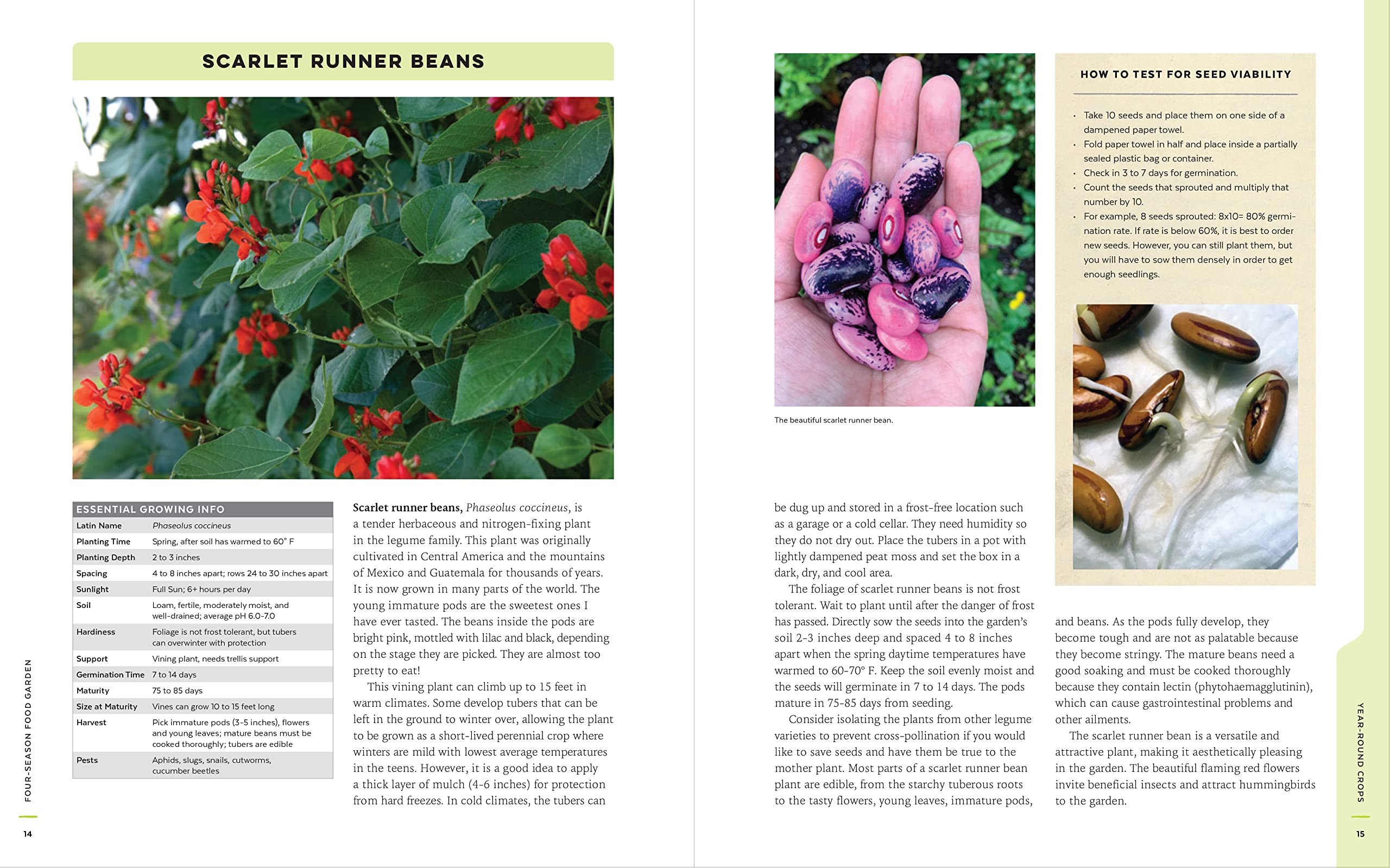 Four-Season Food Gardening: How to grow vegetables, fruits, and herbs year-round
