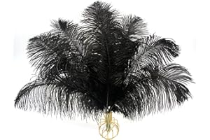 iHUFeather 20pcs Black Ostrich Feathers Natural Bulk 10-12Inch 25-30cm for Wedding Party Centerpieces Easter and Home Decorat