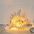 MIYA LIFE Magic Conch Shell Lamp - LED Lighted Real Conch Shell Night Light (Medium, Largest Side Around 5.5'') USB Plug & Battery Powered Seashell Lamp Sea Lamp for Bedroom Beach Themed Room Decor