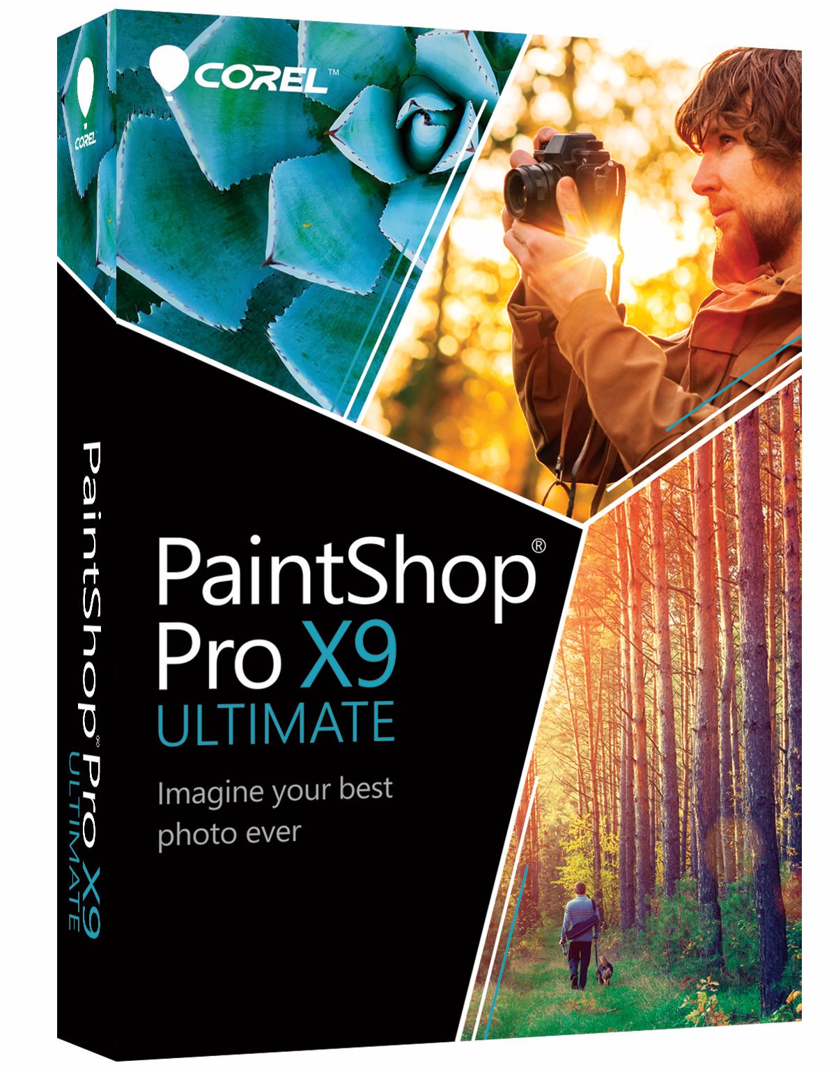 PaintShop Pro X9 Ultimate (PC)