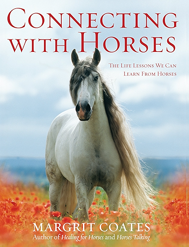 Download Connecting with Horses: The Life Lessons We Can Learn from Horses (English Edition) PDF