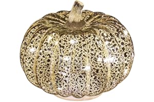 Romingo Mercury Glass Pumpkin Light with Timer for Halloween Pumpkin Decorations Fall and Thanksgiving Decor,Silver, 5.5 inches