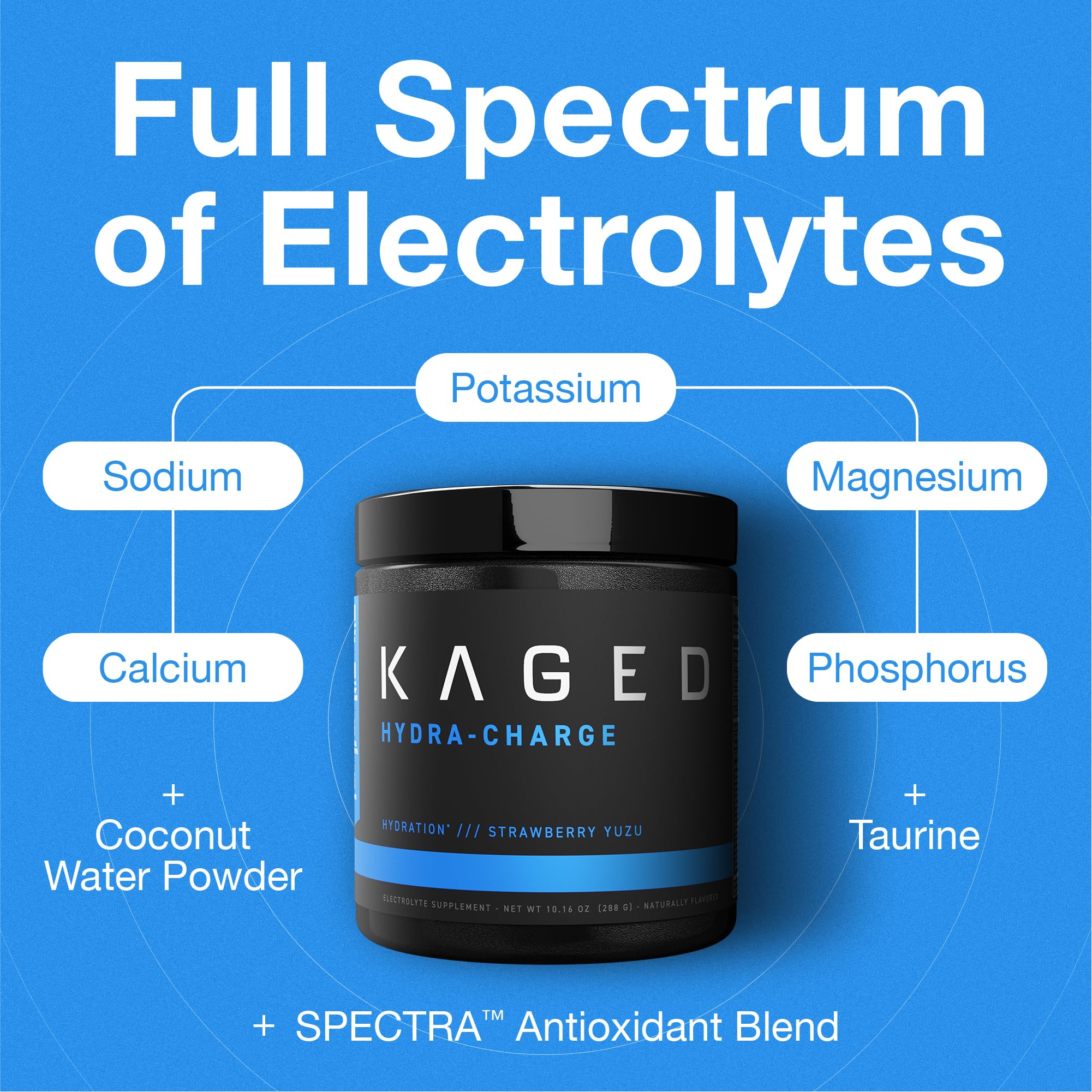 Kaged Electrolyte Hydration Powder | Fruit Punch | Sports Drink for Men and Women | Pre, Post, Intra Workout Supplement | 60 Servings