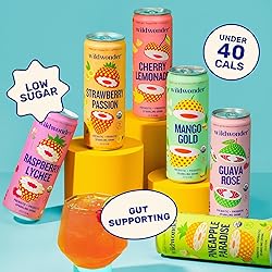 wildwonder Sparkling Probiotic Drink 12pk, For Gut