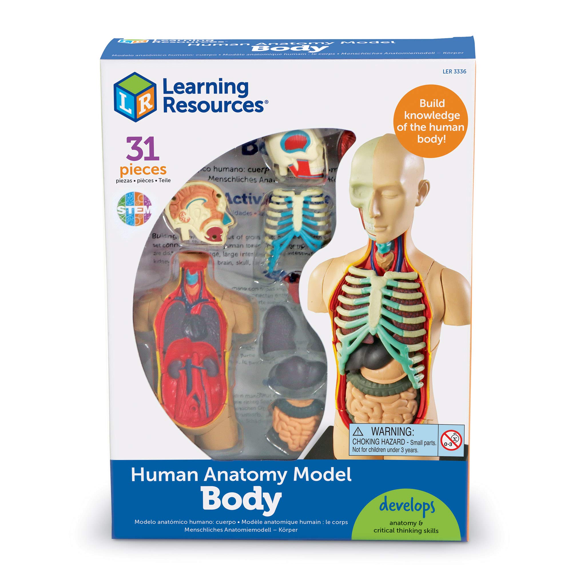 Mua Learning Resources Human Body Model, Science Classroom