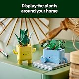 LEGO Botanicals Happy Plants Toy 10349 Kids Craft Kit with 2 Artificial Plants view 6