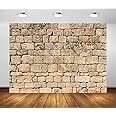 BELECO 10x10ft Fabric Vintage Brick Stone Wall Backdrop