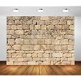 BELECO 15x8ft Fabric Egyptian Backdrop Ancient Egyptian Writing Pharaoh Hieroglyphics Egypt Photography Backdrop Wall Mural Ancient Egypt Theme Party Decorations Portrait Photoshoot Background Props