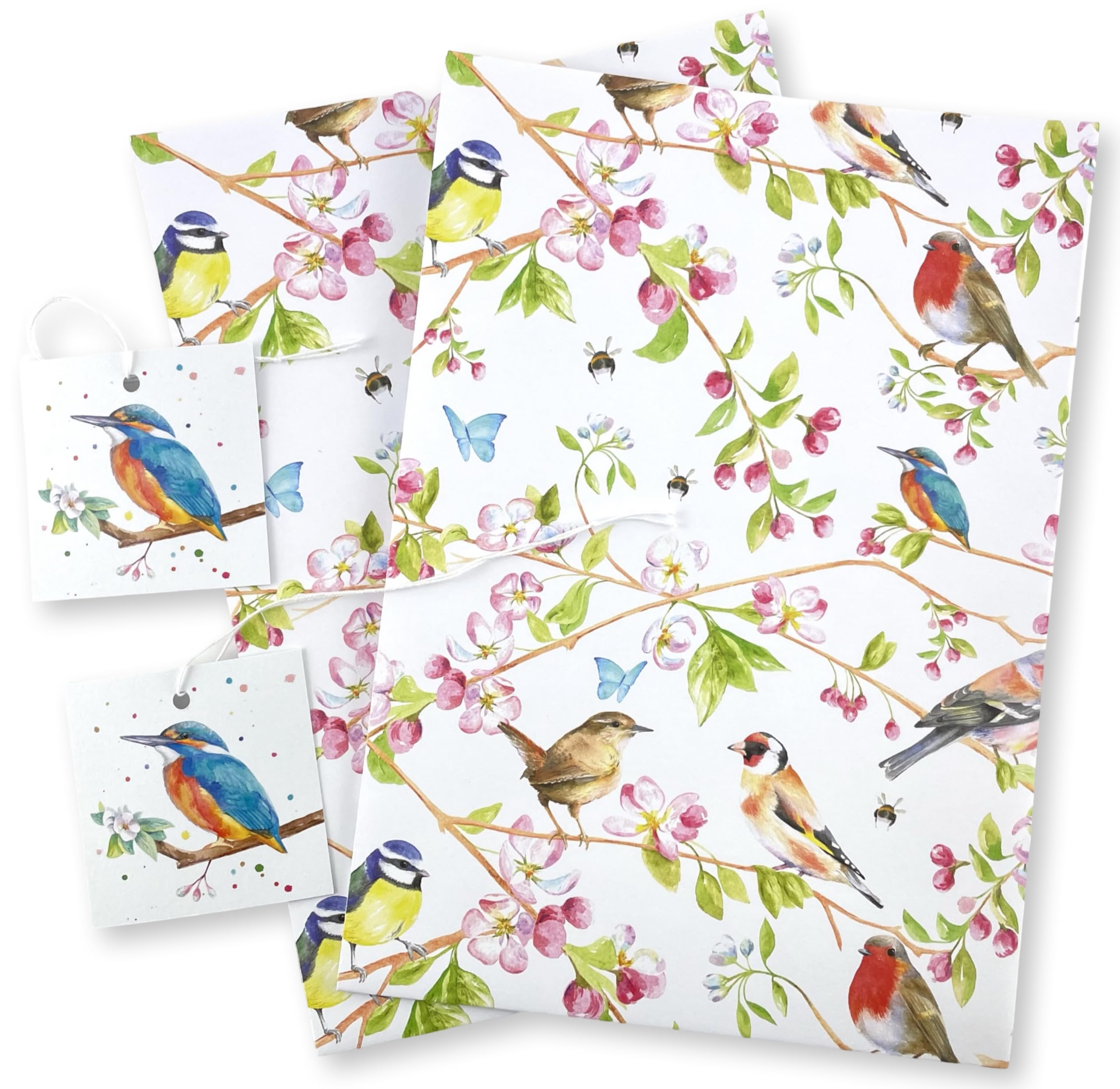 Birds, Bees and Butterflies in Blossom Recycled and Recyclable Quality Gift Wrap and Tags - 2 Sheets - 2 Tags - Birthday - Anniversary - Mother's Day - Art and Craft Projects