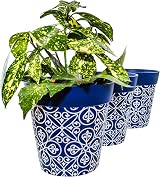 Hum Flowerpots 22cm Set of 3 Plastic Plant Pots Indoors Outdoors Colourful view 5