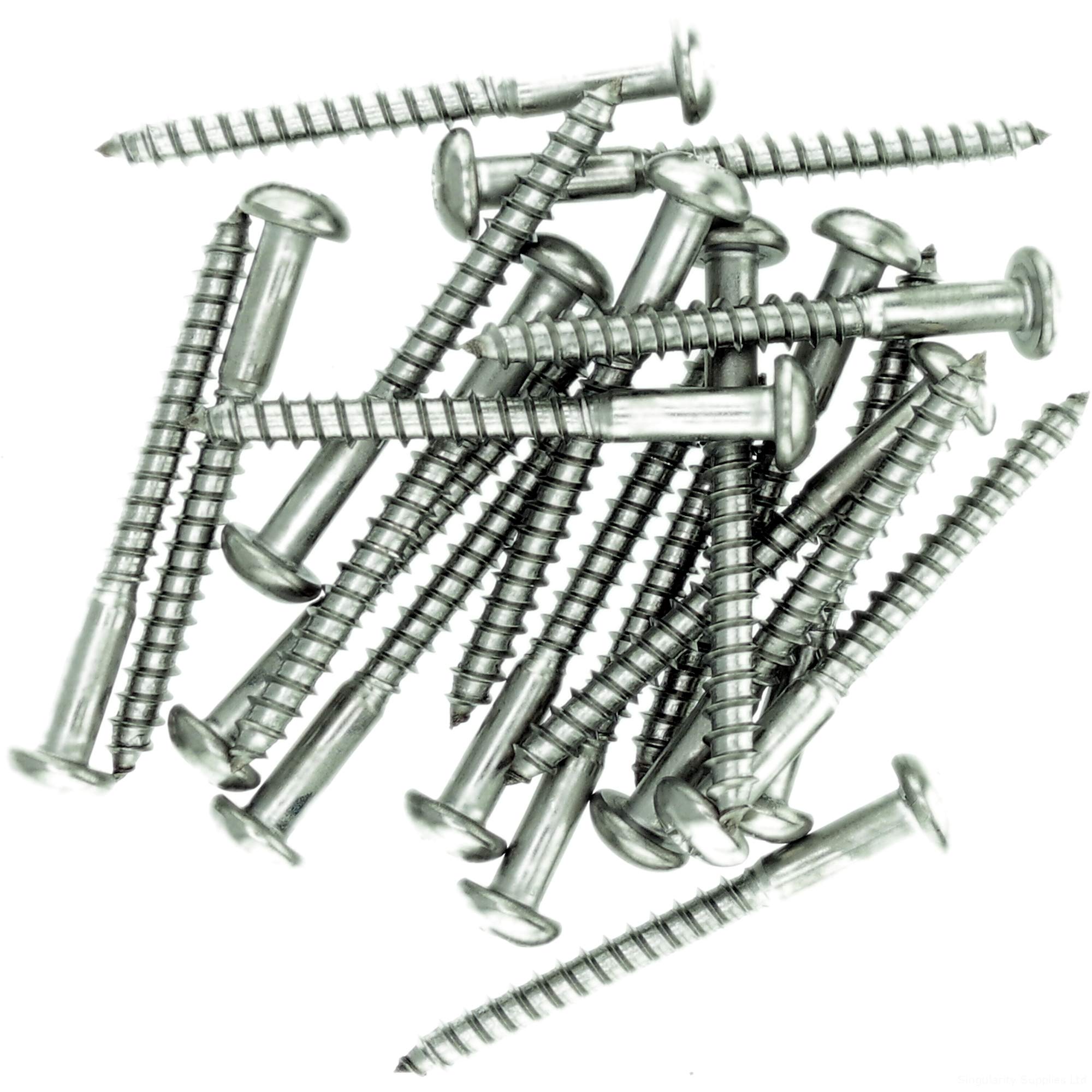 No.4 x 0.63 (3.0mm x 16mm) Pozi Pan Wood Screw - Stainless Steel (A2) (Pack of 20)