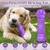 HETOO Indestructible Dog Toy Skull Shape Durable Rubber Chew Large Medium view 2
