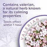 Beaphar Herbal Calming Tablets for Cats & Dogs – Non-Drowsy Relief view 4