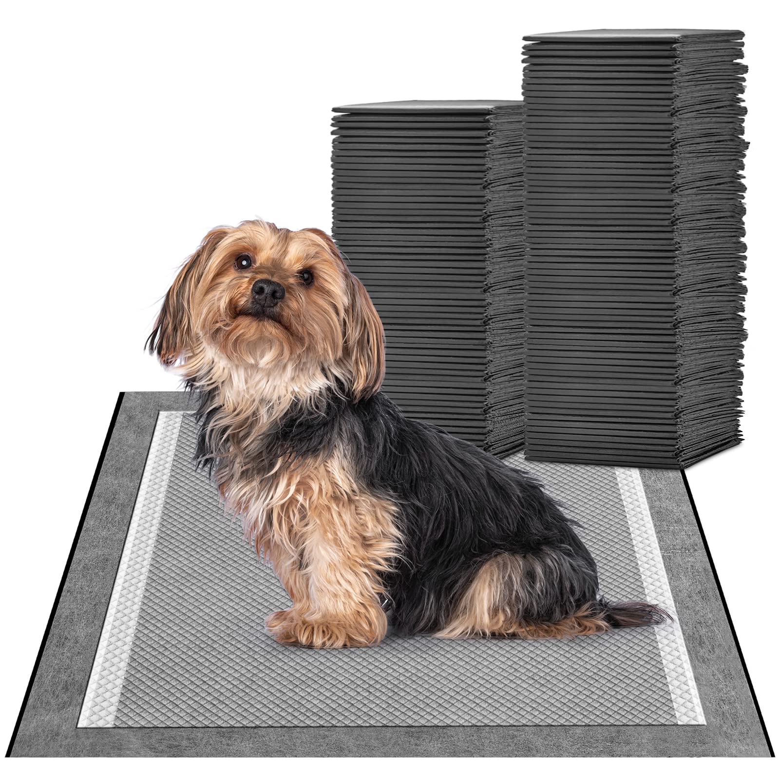 Photo 1 of MIZOK Puppy Pads for Dogs 23X24in Pet Pads, Charcoal Odor Eliminating Wee Wee Pads for Dogs Absorbs Up to 4 Cups Urine, 6 Layers Leak-Proof Puppy Pads Pet Training Pads (100 Counts)