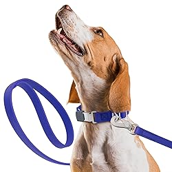 Randstark Biothane Waterproof Durable Dog Leash