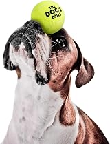The Dog's Balls Dog Tennis Balls Yellow Medium 12-Pack High Visibility view 3