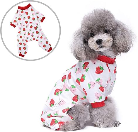 small dog pjs