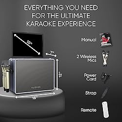 Professional Karaoke Machine with Lyrics Display