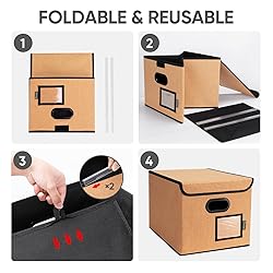 BALEINE File Organizer Box with Lid, Collapsible