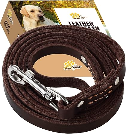 leash amazon