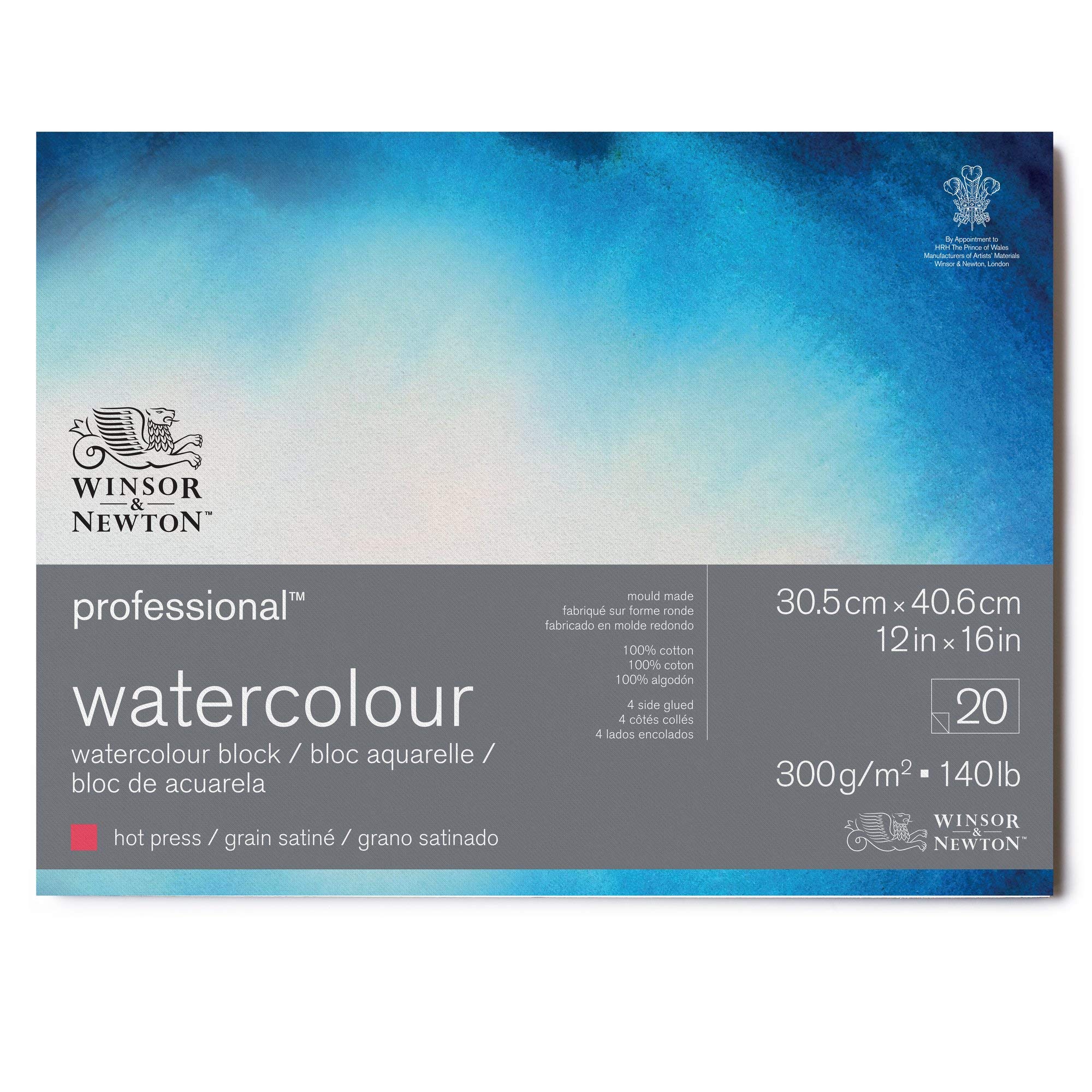Winsor & Newton 6664008 Professional Watercolour Paper in Pad, 20 Sheets 30.5 x 40.6 cm, 300 g/m², Satined, Bright Natural White Paper in Archival Quality, Resistant to Yellowing