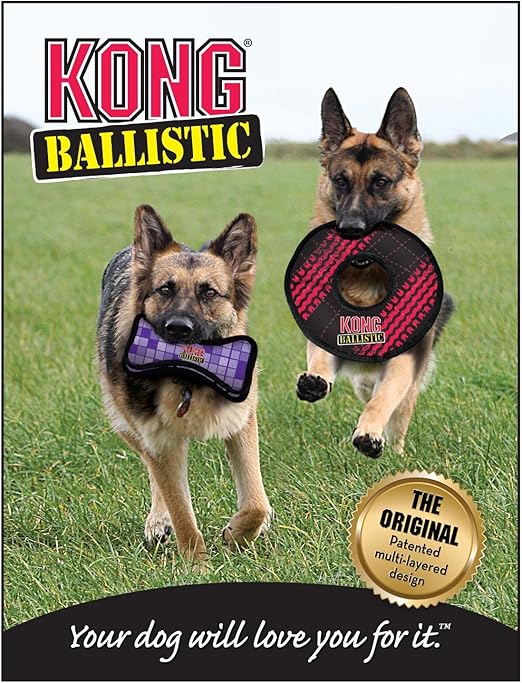 kong beast tug chew fetch