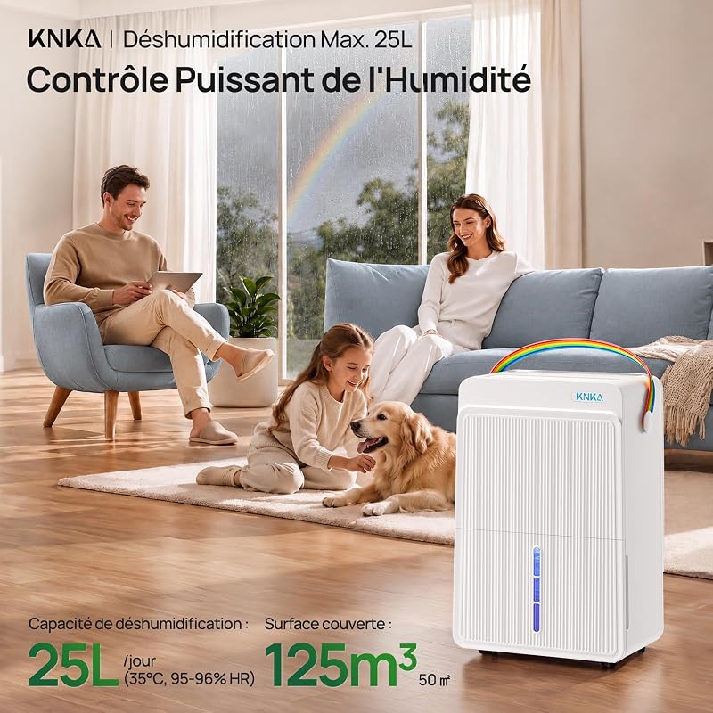 Deshumidificateur d Air 25L/jour Trois Modes de Fonctionnement