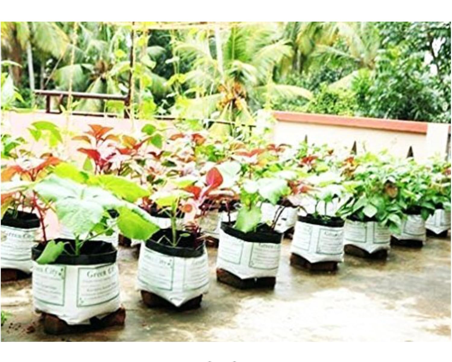 Eg Elamgreen Plastic Grow Bag White 30x30x25 Cm 10 Piece Amazon In Garden Outdoors