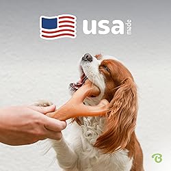 Benebone Wishbone Durable Dog Chew Toy for