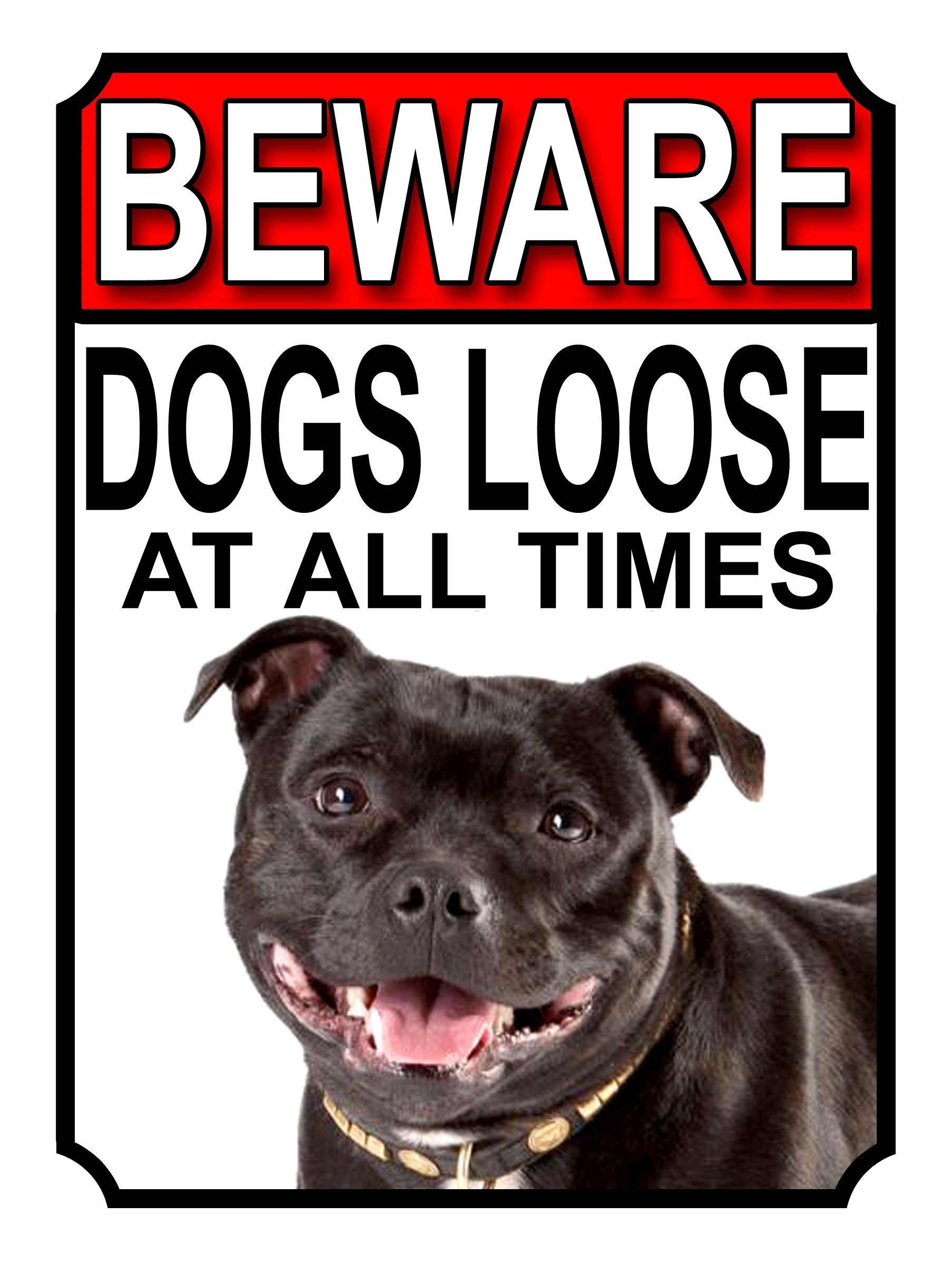 BEWARE DOGS LOOSE AT ALL TIMES METAL SIGN STAFFORDSHIRE BULL TERRIER 200MM X 150MM (1023H1) — image 1